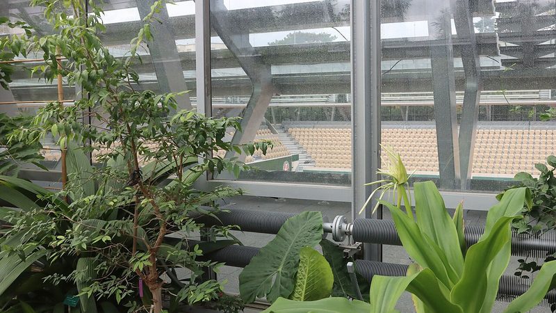 Court Simonne-Mathieu at Roland-Garros, seen from the tropical greenhouse in 2019.